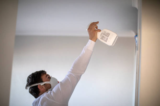 Best Home Mold Removal  in Philippi, WV